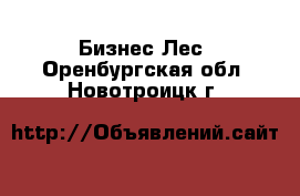 Бизнес Лес. Оренбургская обл.,Новотроицк г.